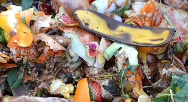 Reducing Food Waste: A Sustainable Solution for a Healthier Planet