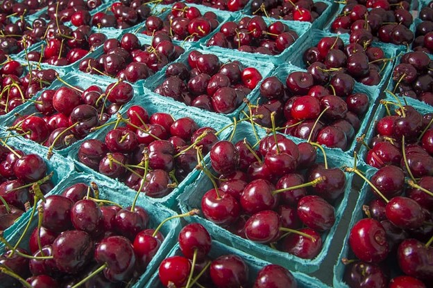 Unlocking the Body-Wide Benefits of Tart Cherry