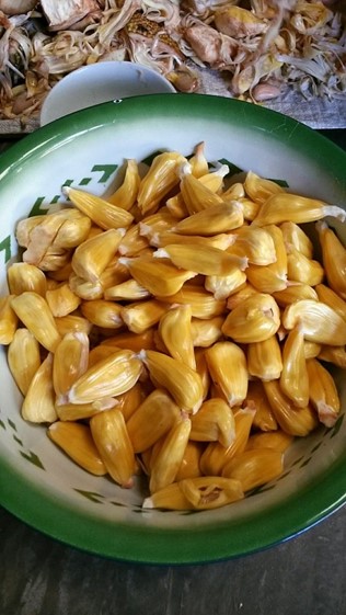 Jackfruit: The Superfood Solution for Optimal Health