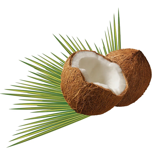Sugar Shock: Exploring the Surprising Truth About Coconut Water’s Sweetness