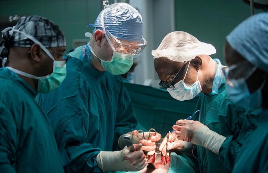 Innovative Surgery: Patient Receives Landmark Pig Kidney Transplant