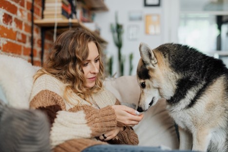The Healing Power of Pet Companionship: Enhancing Health and Well-Being
