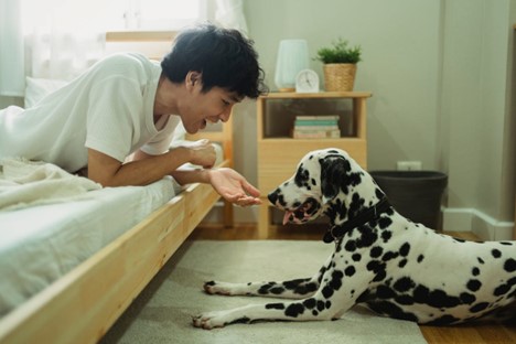 Man’s Best Friend, Patient’s Best Healer: The Role of Therapy Dogs